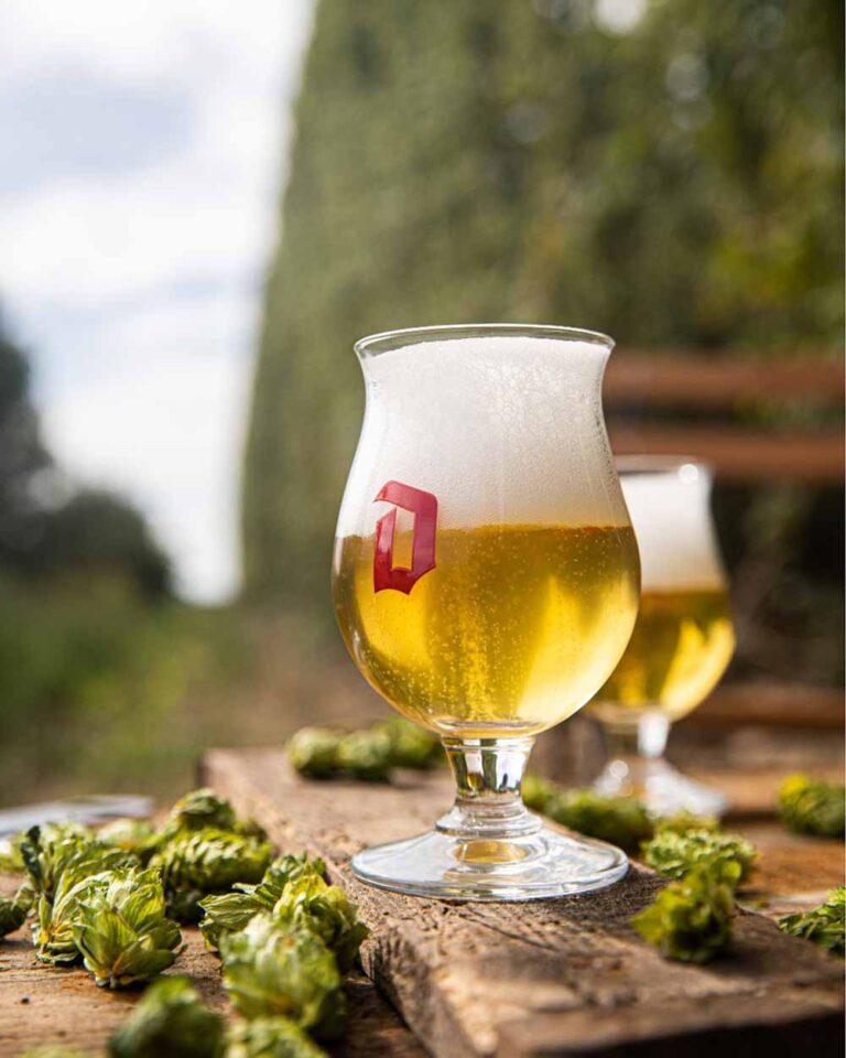 The Top Beers We Drank In October Hop Culture