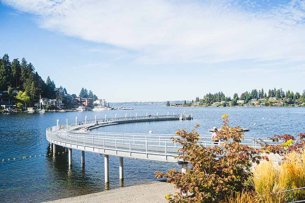 meydenbauer bay park bellevue