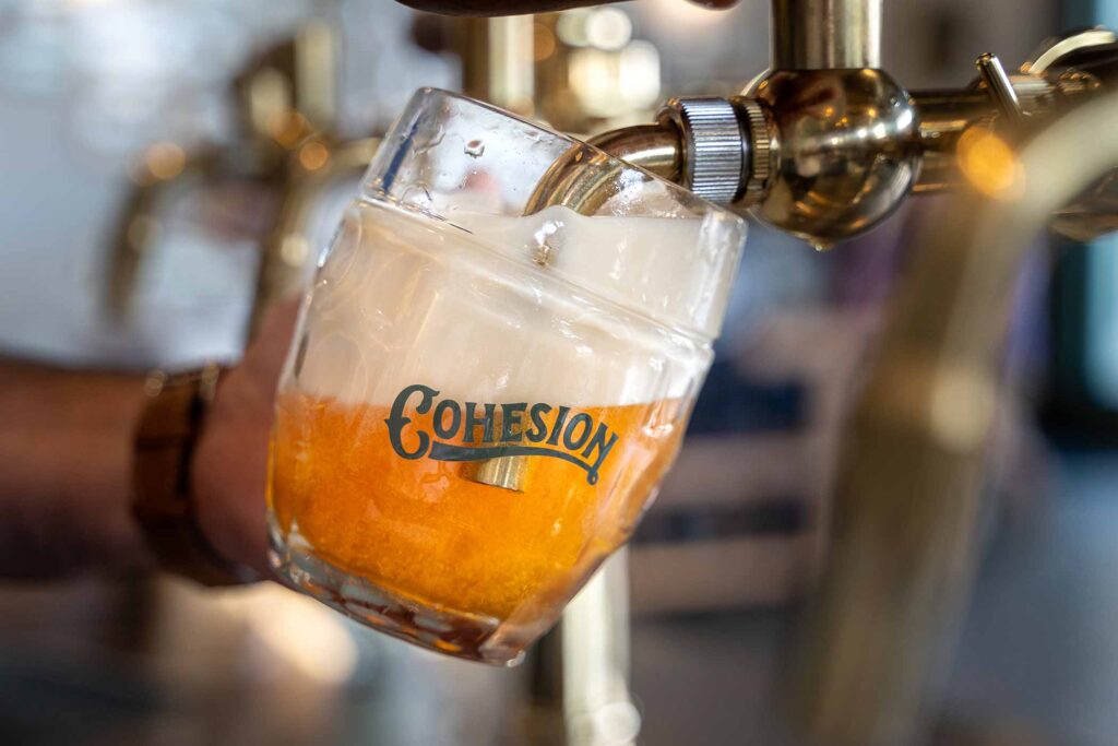 cohesion brewing cohesion 12 best beers 2024