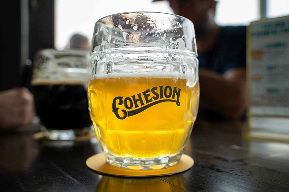 cohesion brewing cohesion 8