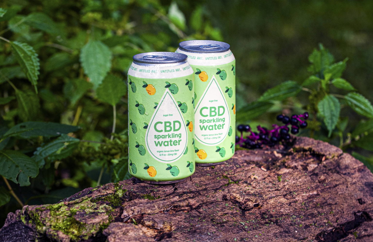 Untitled Art's CBD Sparkling Water Will Cure What Ails You • Hop Culture