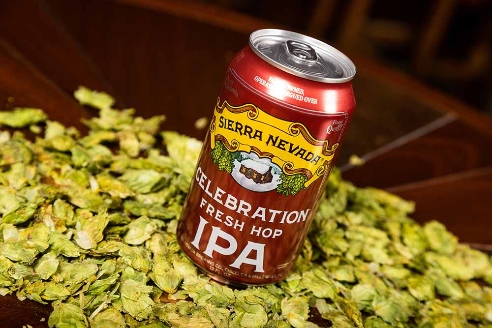 We Asked 13 Brewers: What Was Your First IPA?