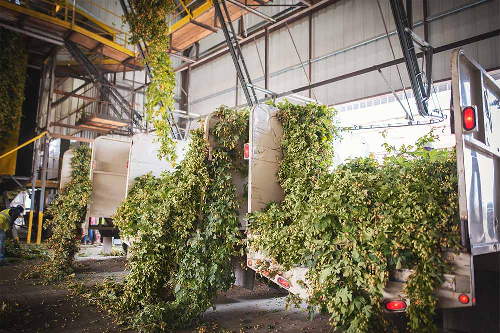 mill 95 facility idaho hops