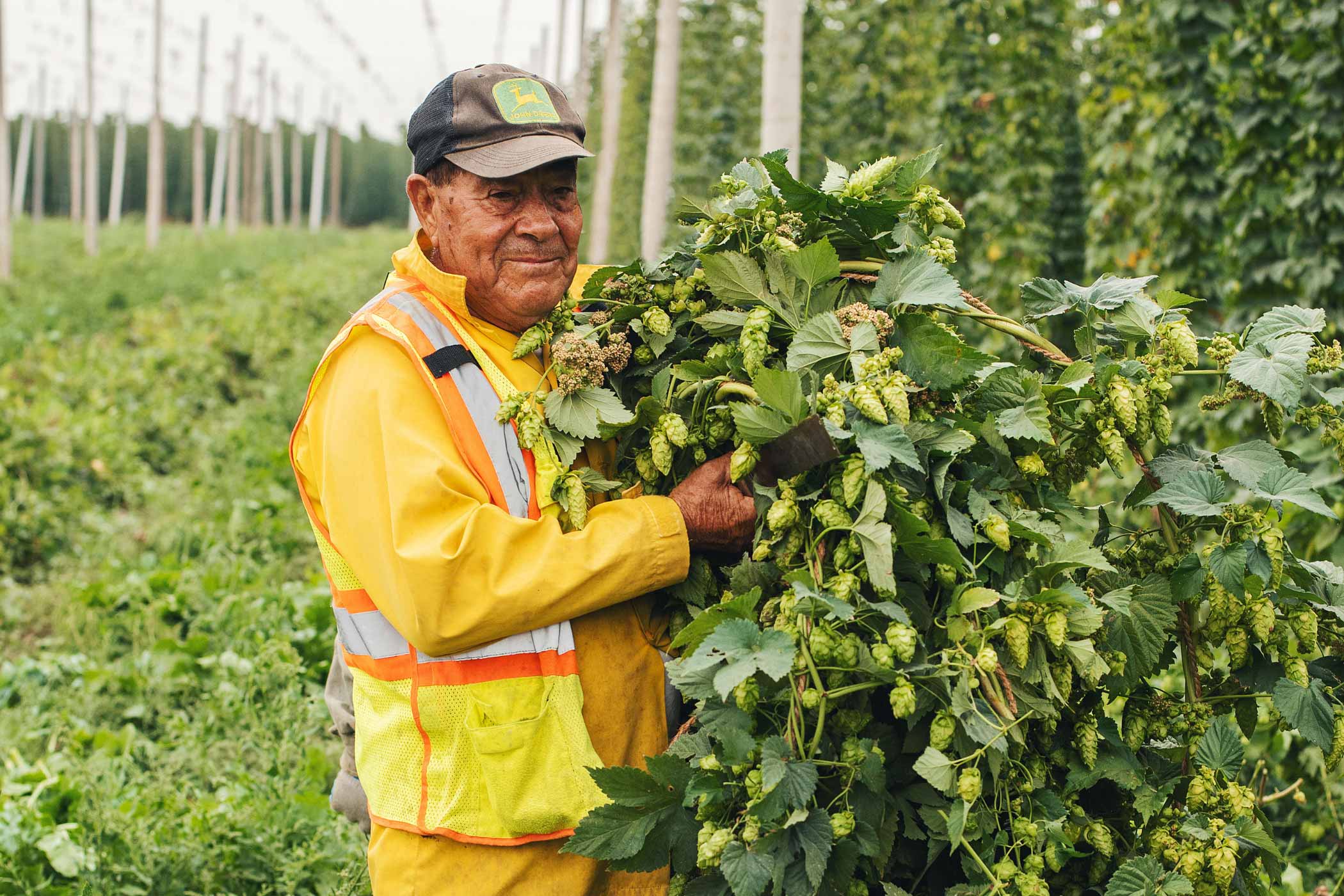 From Spuds to Suds: Idaho’s Hop Growing Story